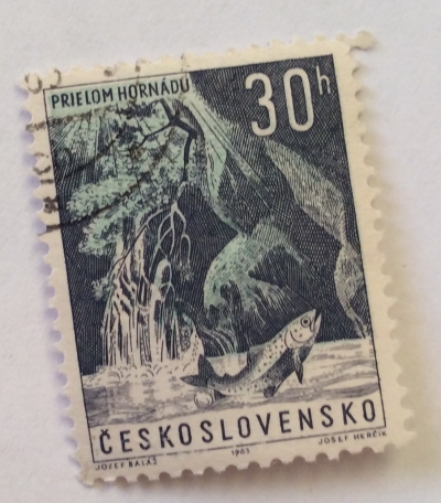 Почтовая марка Чехословакия (Ceskoslovensko ) Trout, Hornad Valley | Год выпуска 1963 | Код каталога Михеля (Michel) CS 1419