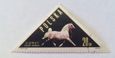 Почтовая марка Польша (Polska) Arab Stallion "Comet" (Equus ferus caballus) | Год выпуска 1963 | Код каталога Михеля (Michel) PL 1447