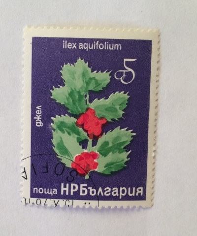 Почтовая марка Болгария (НР България) Common Holly (Ilex aquifolium) | Год выпуска 1976 | Код каталога Михеля (Michel) BG 2542