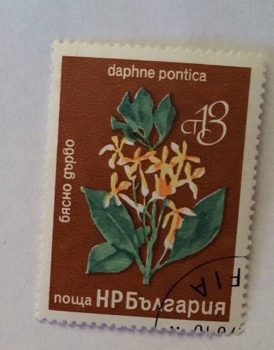 Почтовая марка Болгария (НР България) Daphne (Daphne pontica) | Год выпуска 1976 | Код каталога Михеля (Michel) BG 2544