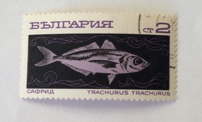 Почтовая марка Болгария (НР България) Mediterranean Horse Mackerel (Trachurus trachurus) | Год выпуска 1969 | Код каталога Михеля (Michel) BG 1949