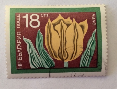 Почтовая марка Болгария (НР България) Tulip | Год выпуска 1974 | Код каталога Михеля (Michel) BG 2348