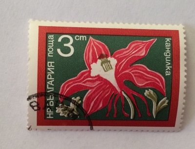 Почтовая марка Болгария (НР България) Columbine | Год выпуска 1974 | Код каталога Михеля (Michel) BG 2347