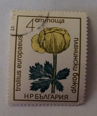 Почтовая марка Болгария (НР България) Trollius europaeus | Год выпуска 1972 | Код каталога Михеля (Michel) BG 2200