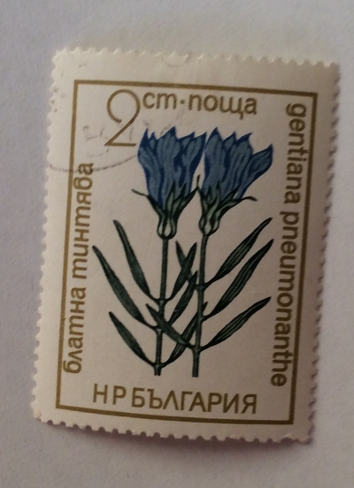 Почтовая марка Болгария (НР България) Gentian | Год выпуска 1972 | Код каталога Михеля (Michel) BG 2198