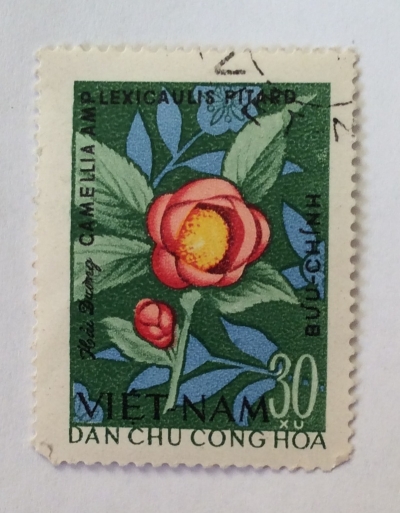 Почтовая марка Вьетнам (Vietnam) Lavender (camellia Amplexicaulis Pitard) | Год выпуска 1964 | Код каталога Михеля (Michel) VN 306