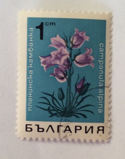 Почтовая марка Болгария (НР България) Alpine Bellflower | Год выпуска 1968 | Код каталога Михеля (Michel) BG 1791