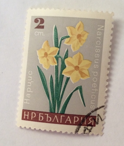 Почтовая марка Болгария (НР България) Stemless gentian | Год выпуска 1968 | Код каталога Михеля (Michel) BG 1792