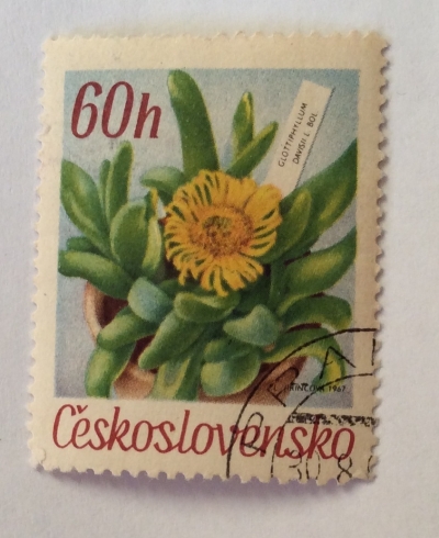 Почтовая марка Болгария (НР България) Glottiphyllum davisii L.Bol. | Год выпуска 1968 | Код каталога Михеля (Michel) CS 1727