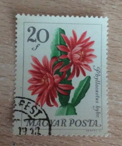 Почтовая марка Венгрия (Magyar Posta) Leaf Cacti (Epiphyllum sp.) | Год выпуска 1965 | Код каталога Михеля (Michel) HU 2164A