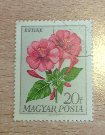 Почтовая марка Венгрия (Magyar Posta) Four O'clock Flower (Mirabilis jalapa) | Год выпуска 1968 | Код каталога Михеля (Michel) HU 2452A