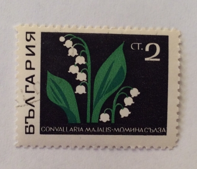 Почтовая марка Болгария (НР България) Lily of the Valley (Convallaria majalis) | Год выпуска 1969 | Код каталога Михеля (Michel) BG 1859