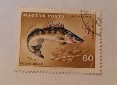 Почтовая марка Венгрия (Magyar Posta) Pike Perch (Lucioperca lucioperca) | Год выпуска 1967 | Код каталога Михеля (Michel) HU 2345A-2