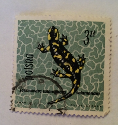 Почтовая марка Польша (Polska) Common Fire Salamander (Salamandra salamandra) | Год выпуска 1963 | Код каталога Михеля (Michel) PL 1403