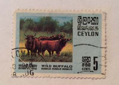Почтовая марка Цейлон (Ceylon) Bubalus arnee | Год выпуска 1970 | Код каталога Михеля (Michel) LK 395