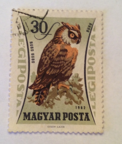 Почтовая марка Венгрия (Magyar Posta) Eurasian Eagle-owl (Bubo bubo) | Год выпуска 1962 | Код каталога Михеля (Michel) HU 1881A