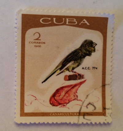 Почтовая марка Куба (Cuba correos) Domestic Canary (Serinus canaria forma domestica) | Год выпуска 1968 | Код каталога Михеля (Michel) CU 1395