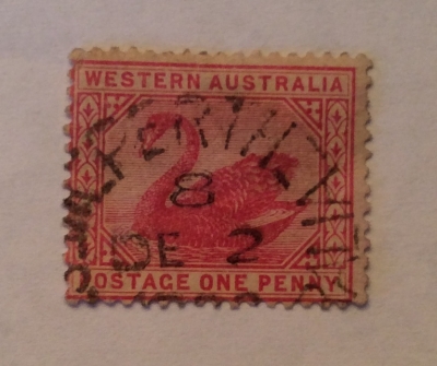 Почтовая марка Австралия (Postage Australia) Black Swan (Cygnus atratus) | Год выпуска 1929 | Код каталога Михеля (Michel) AU 90