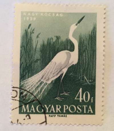 Почтовая марка Венгрия (Magyar Posta) Great Egret (Ardea alba) | Год выпуска 1959 | Код каталога Михеля (Michel) HU 1596A