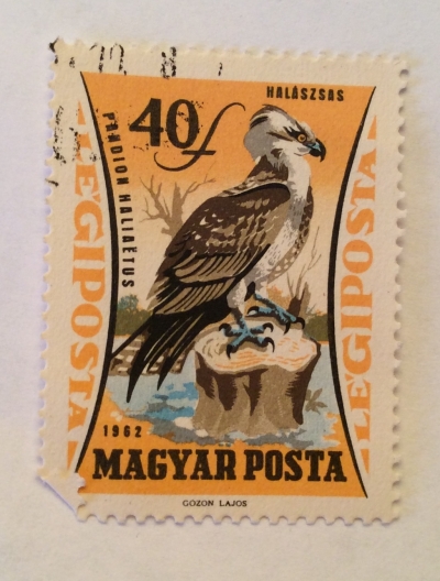 Почтовая марка Венгрия (Magyar Posta) Osprey (Pandion haliaetus) | Год выпуска 1962 | Код каталога Михеля (Michel) HU 1882A