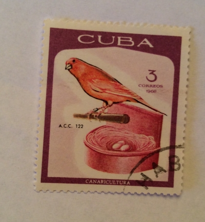 Почтовая марка Куба (Cuba correos) Domestic Canary (Serinus canaria forma domestica) | Год выпуска 1968 | Код каталога Михеля (Michel) CU 1396