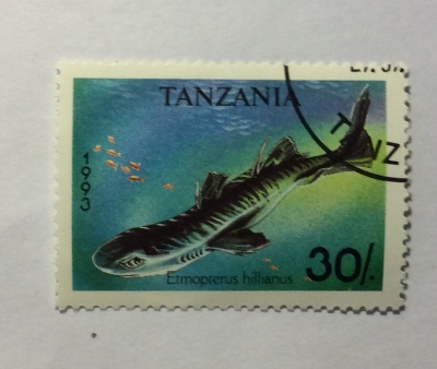 Почтовая марка Танзания (Tanzania) Caribbean Lanternshark (Etmopterus hillianus) | Год выпуска 1993 | Код каталога Михеля (Michel) TZ 1584
