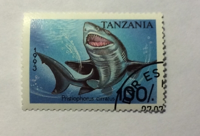 Почтовая марка Танзания (Tanzania) Common Sawshark (Pristiophorus cirratus) | Год выпуска 1993 | Код каталога Михеля (Michel) TZ 1587