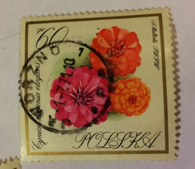 Почтовая марка Польша (Polska) Zinnias | Год выпуска 1966 | Код каталога Михеля (Michel) PL 1700