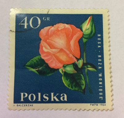 Почтовая марка Польша (Polska) Monique rose | Год выпуска 1964 | Код каталога Михеля (Michel) PL 1543