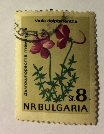 Почтовая марка Болгария (НР България) Larkspur Violet (Viola delphinioides) | Год выпуска 1963 | Код каталога Михеля (Michel) BG 1412