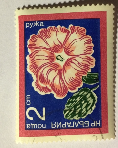 Почтовая марка Болгария (НР България) Hollyhock (Alcea rosea) | Год выпуска 1974 | Код каталога Михеля (Michel) BG 2346