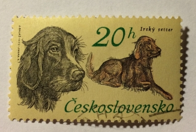 Почтовая марка Чехословакия (Ceskoslovensko) Irish Setter (Canis lupus familiaris) | Год выпуска 1973 | Код каталога Михеля (Michel) CS 2154