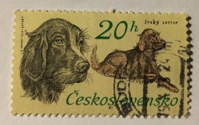 Почтовая марка Чехословакия (Ceskoslovensko) Irish Setter (Canis lupus familiaris) | Год выпуска 1973 | Код каталога Михеля (Michel) CS 2154-2
