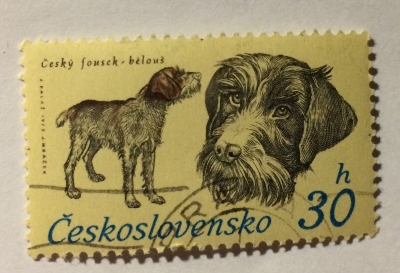 Почтовая марка Чехословакия (Ceskoslovensko) Cesky Fousek (Canis lupus familiaris) | Год выпуска 1973 | Код каталога Михеля (Michel) CS 2155-2