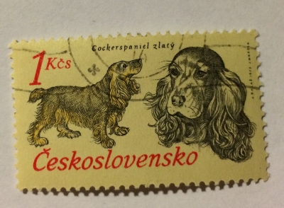 Почтовая марка Чехословакия (Ceskoslovensko) Cocker Spaniel (Canis lupus familiaris) | Год выпуска 1973 | Код каталога Михеля (Michel) CS 2158