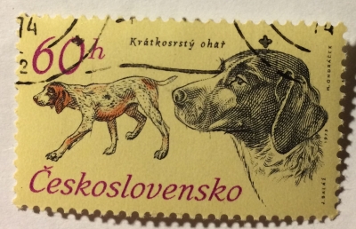 Почтовая марка Чехословакия (Ceskoslovensko) German Short-haired Pointer (Canis lupus familiaris) | Год выпуска 1973 | Код каталога Михеля (Michel) CS 2157