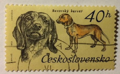 Почтовая марка Чехословакия (Ceskoslovensko) Bavarian Bloodhound (Canis lupus familiaris) | Год выпуска 1973 | Код каталога Михеля (Michel) CS 2156