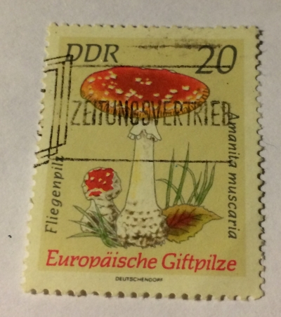 Почтовая марка ГДР (DDR) Amanita muscaria | Год выпуска 1974 | Код каталога Михеля (Michel) DD 1936