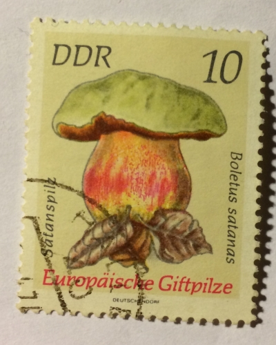 Почтовая марка ГДР (DDR) Satan's mushroom | Год выпуска 1974 | Код каталога Михеля (Michel) DD 1934
