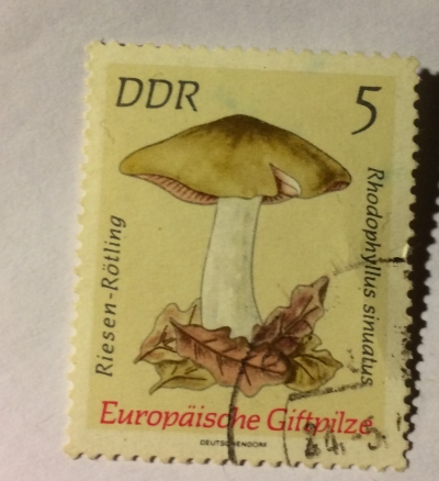 Почтовая марка ГДР (DDR) Riesen-Rötling (Rhodophyllus sinuatus) | Год выпуска 1974 | Код каталога Михеля (Michel) DD 1933