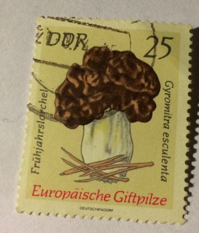 Почтовая марка ГДР (DDR) Frühjahrslorchel | Год выпуска 1974 | Код каталога Михеля (Michel) DD 1937