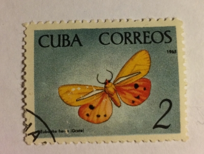Почтовая марка Куба (Cuba correos) Moth (Eubaphe heros) | Год выпуска 1969 | Код каталога Михеля (Michel) CU 1062