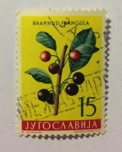 Почтовая марка Югославия (Jugoslavija) Alder blackthorn (Rhamnus frangula) | Год выпуска 1959 | Код каталога Михеля (Michel) YU 883
