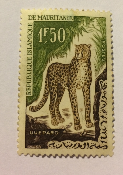 Почтовая марка Мавритания (Republique de Mauritanie) Cheetah (Acinonyx jubatus) | Год выпуска 1963 | Код каталога Михеля (Michel) MR 206