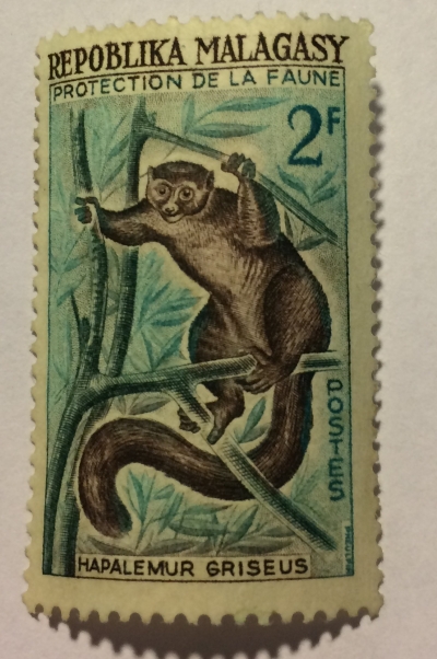 Почтовая марка Мадагаскар (Repoblika Malagasy) Eastern Lesser Bamboo Lemur (Hapalemur griseus) | Год выпуска 1961 | Код каталога Михеля (Michel) MG 467