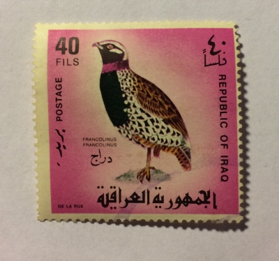 Почтовая марка Ирак (Iraq) Black Francolin (Francolinus francolinus) | Год выпуска 1968 | Код каталога Михеля (Michel) IQ 525