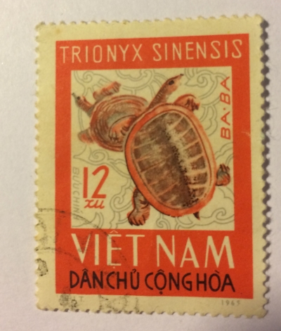 Почтовая марка Вьетнам (Vietnam) Chinese Softshell Turtle (Pelodiscus sinensis) | Год выпуска 1966 | Код каталога Михеля (Michel) VN 433