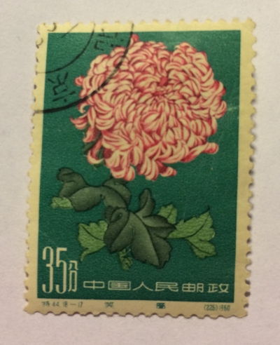 Почтовая марка Китай,КНР (China) Chrysanthemum | Год выпуска 1960 | Код каталога Михеля (Michel) CN 574