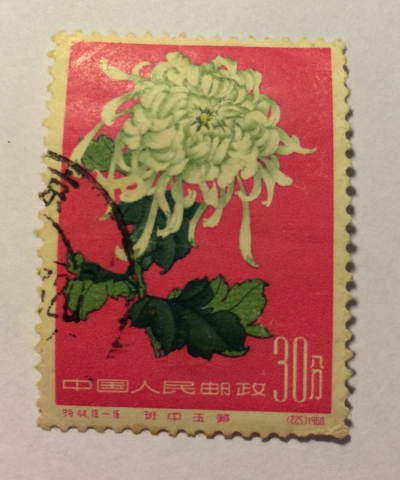 Почтовая марка Китай,КНР (China) Chrysanthemum | Год выпуска 1960 | Код каталога Михеля (Michel) CN 573