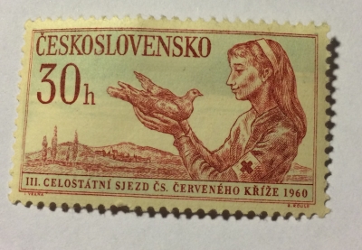 Почтовая марка Чехословакия (Ceskoslovensko ) Women | Год выпуска 1960 | Код каталога Михеля (Michel) CS 1201